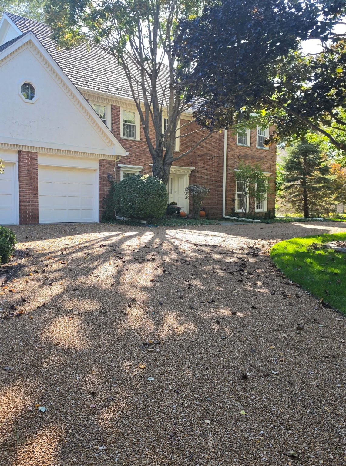 Two-story brick home with a broad driveway and mature trees in Lake Forest.