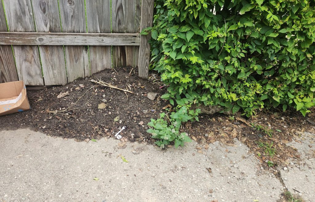 Residential alley and backyard property line in West Ridge