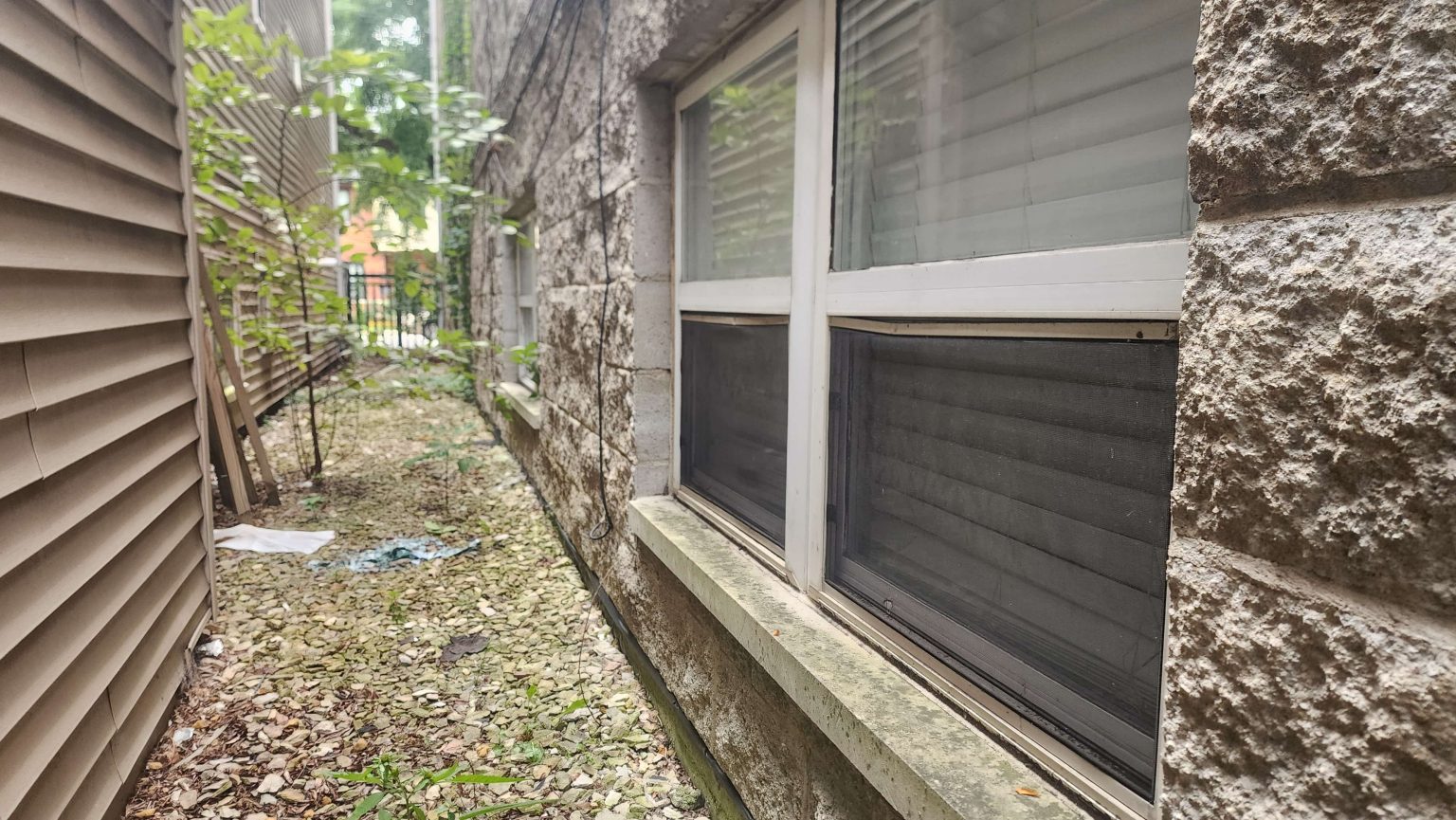 Stone wall and window beside a planted side passage.