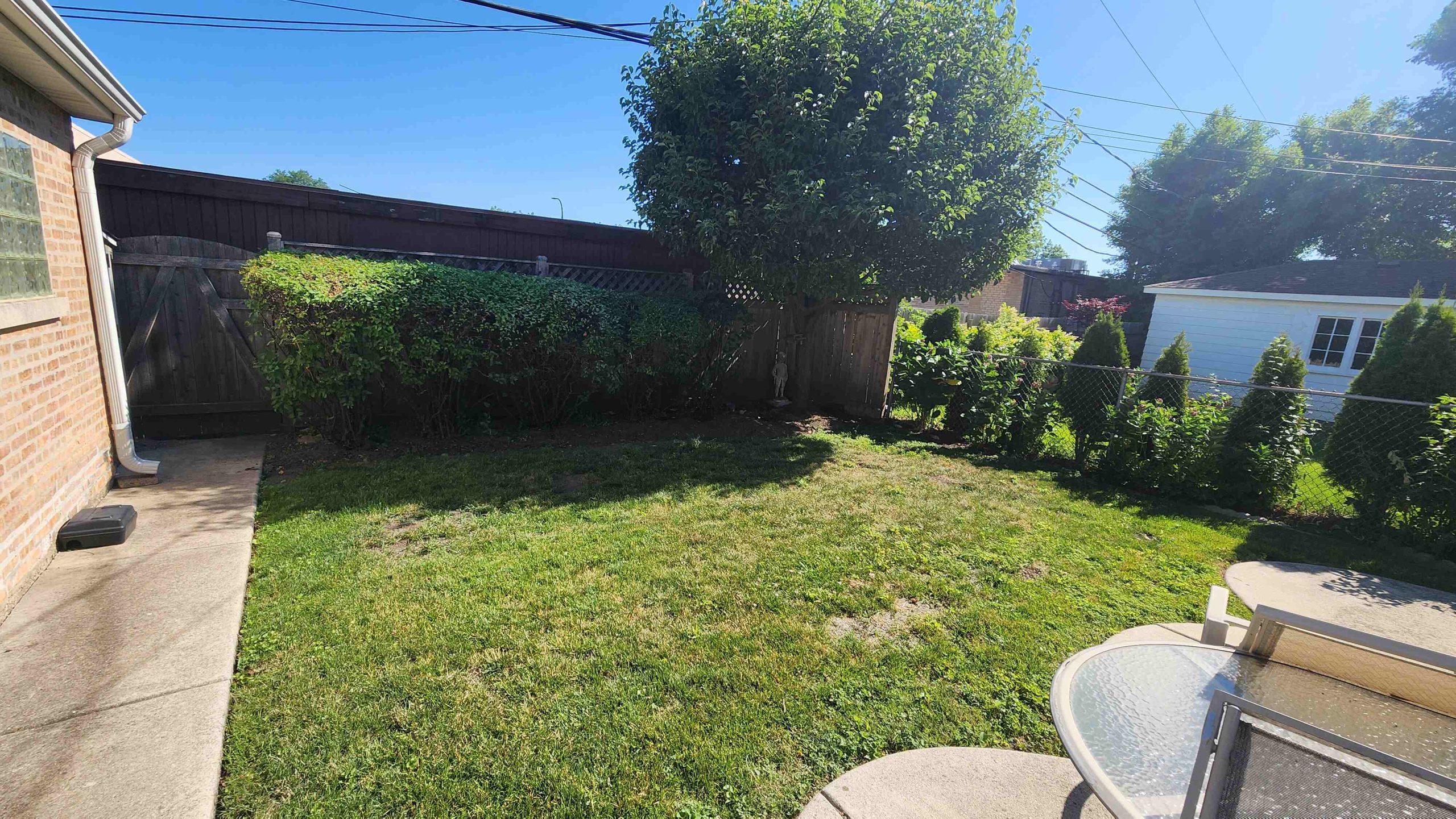 Lincolnwood backyard showing later yard conditions in July 2025