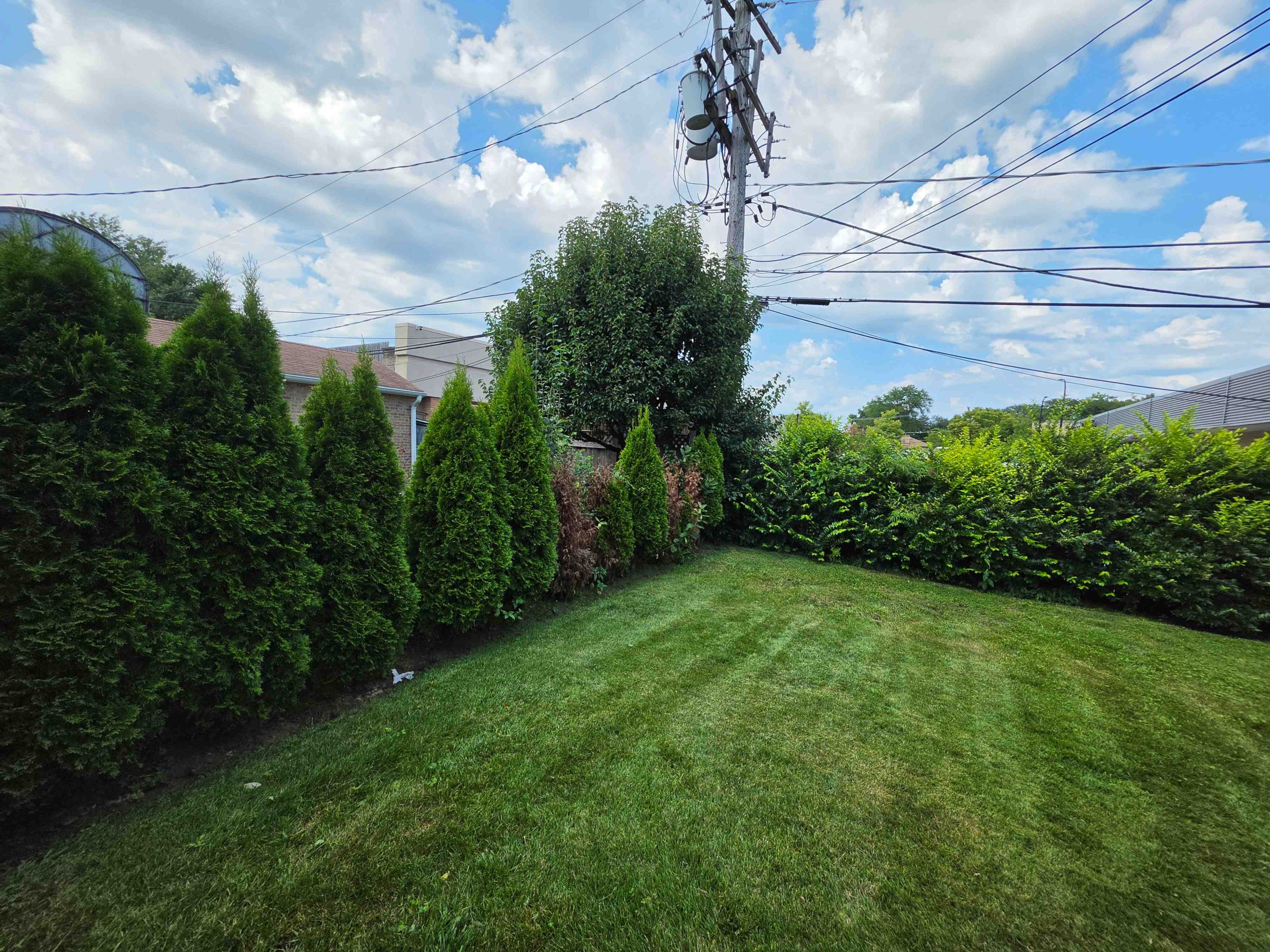 Lincolnwood backyard showing yard conditions in September 2026