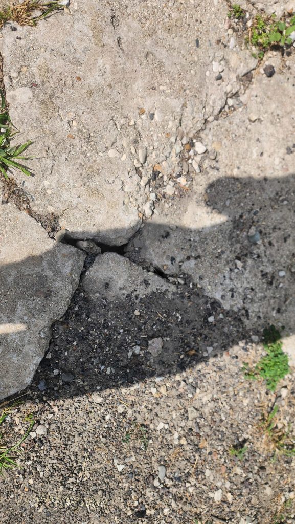 Cracked paving in a backyard area.