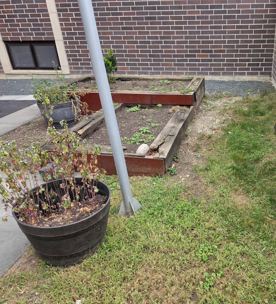 Raised planting strip beside a brick wall and lawn.