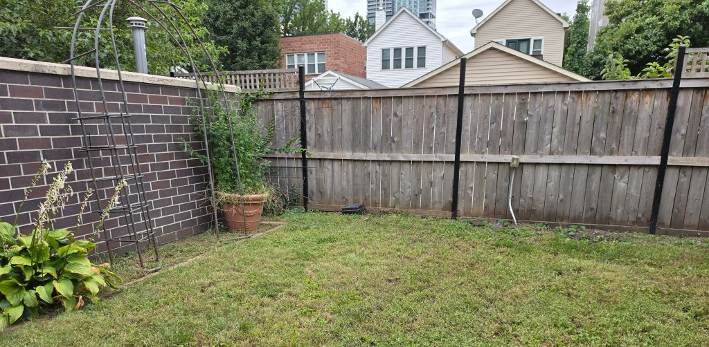 Lawn and planted border along a wooden backyard fence.