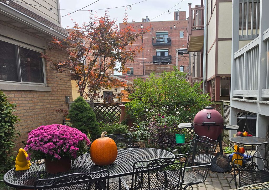 Residential rear patio with outdoor seating and plants.