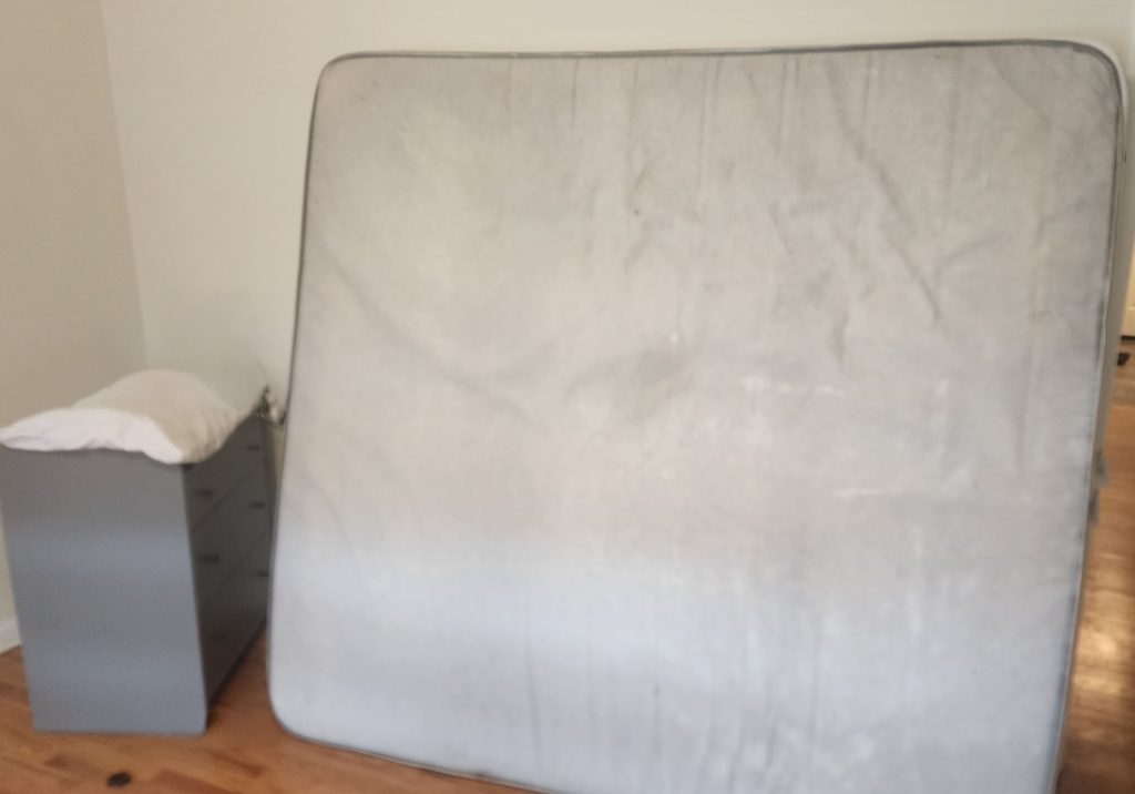 Bedroom in a Rogers Park residence during a Bed Bug Treatment service visit.