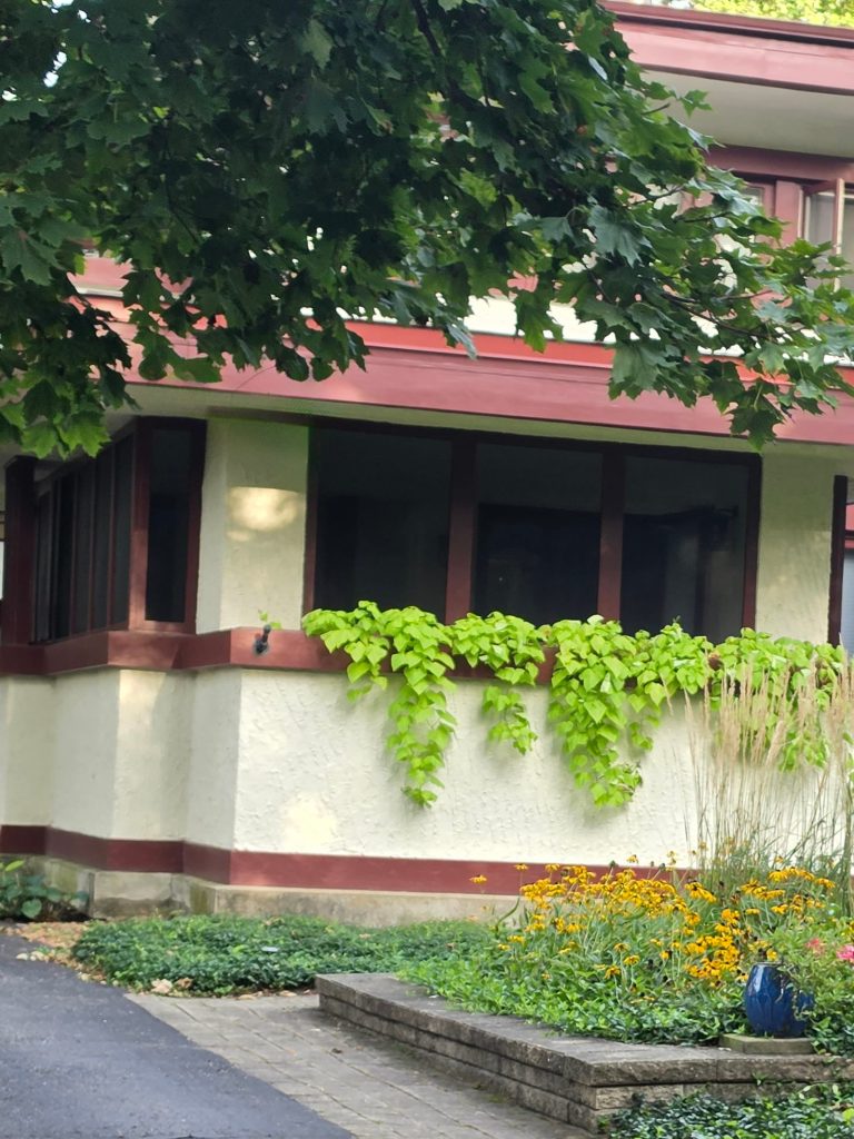 Residential home with mature landscaping and exterior property conditions during the active pest season.
