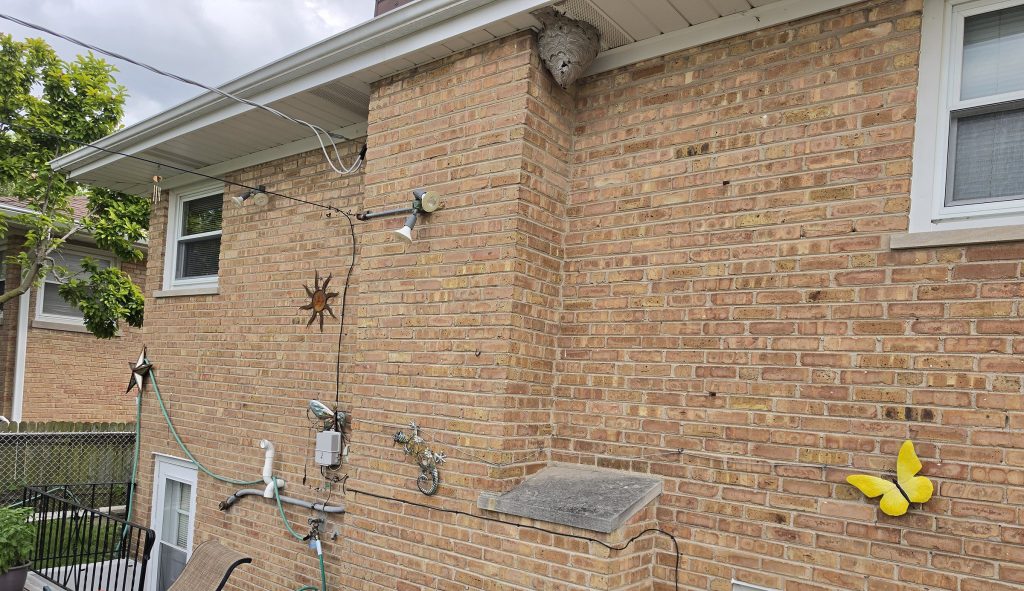 Wasp or hornet nest beneath the eave of a Skokie home