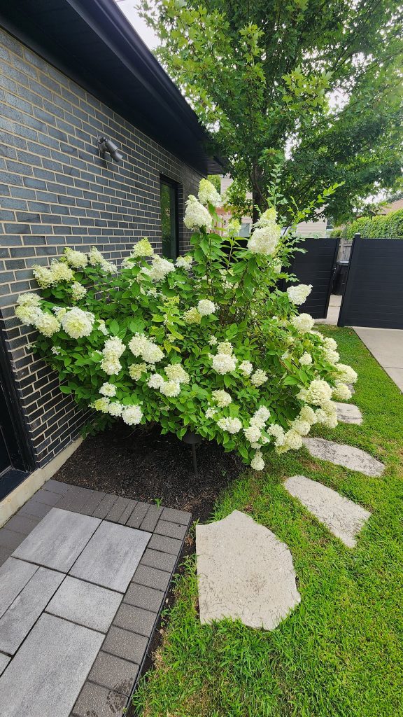 Residential garage and backyard property context from a West Ridge Rat Control project