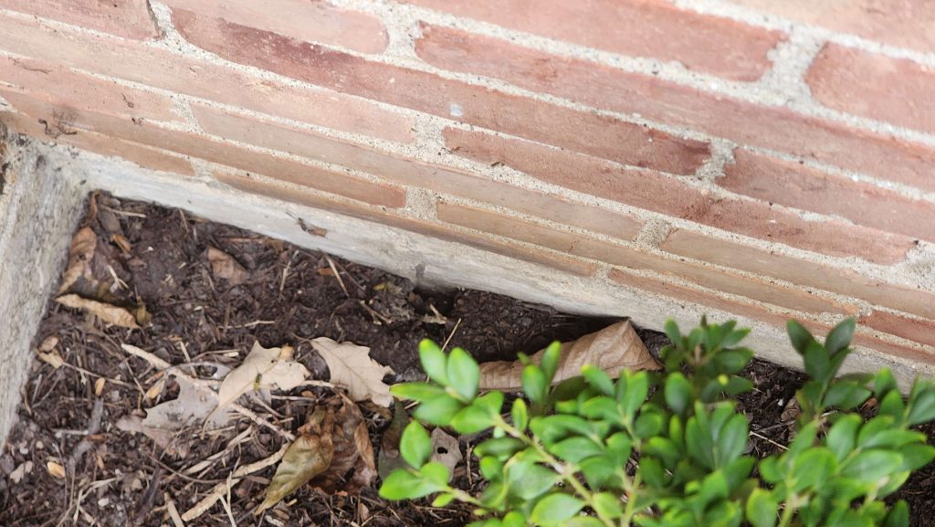 Mulch and planting beside a brick foundation.