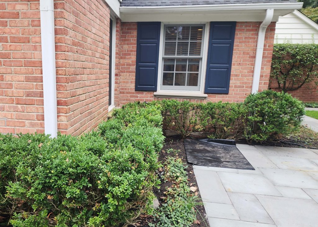 Brick house with shrubs and a mulched foundation bed.